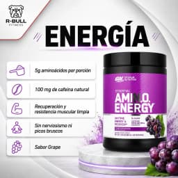 ON Amino Energy 585g - Concord Grape